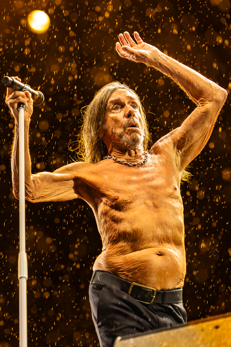 Iggy Pop @ Lokerse Feesten, picture 14, photographed by Dorien Goetschalckx - FrontView Magazine