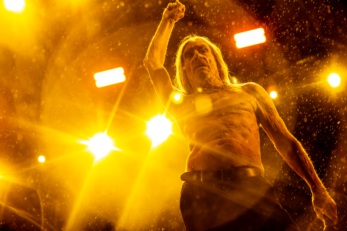 Iggy Pop @ Lokerse Feesten, picture 16, photographed by Dorien Goetschalckx - FrontView Magazine
