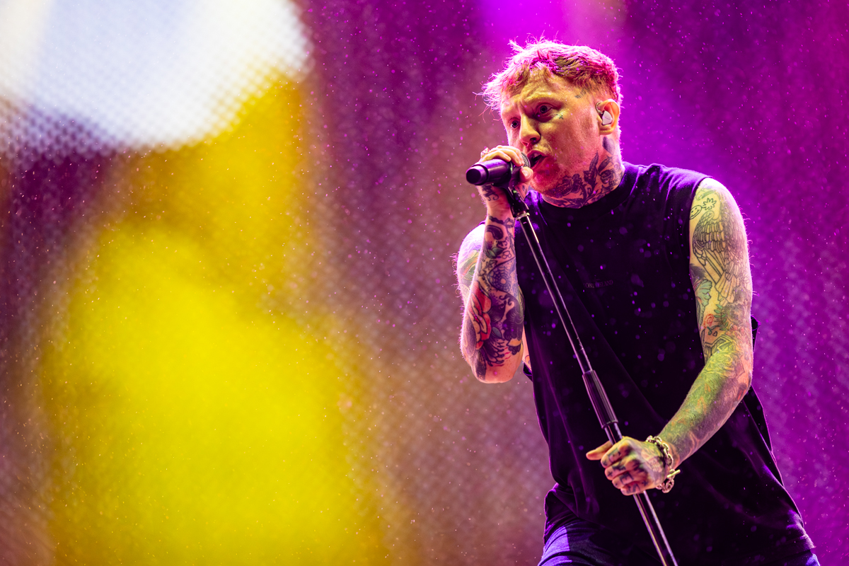 Sex Pistols ft. Frank Carter @ Lokerse Feesten, picture 7, photographed by Dorien Goetschalckx - FrontView Magazine