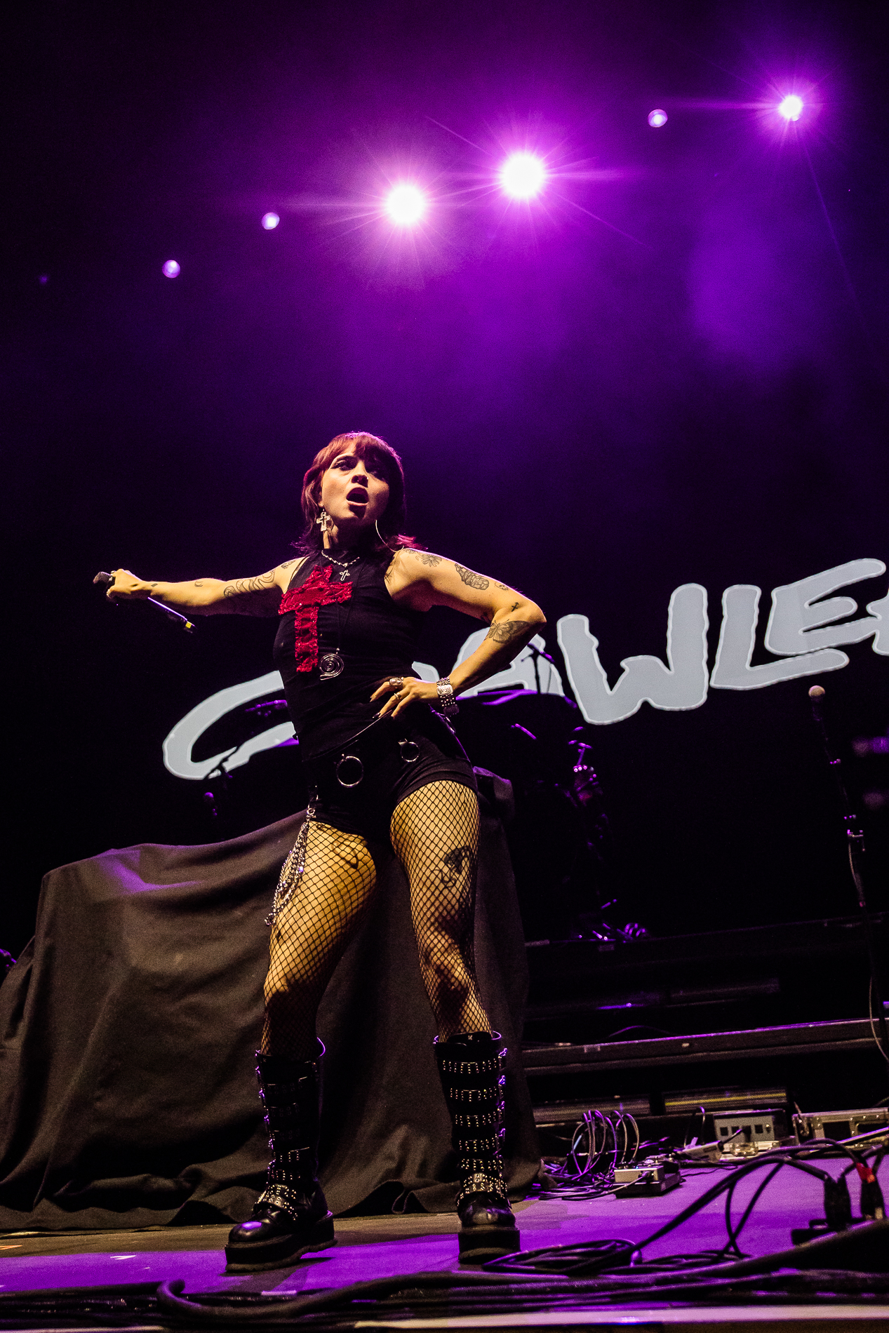 Crawlers @ Lotto Arena, picture 3, photographed by Jürgen Bruynooghe - FrontView Magazine