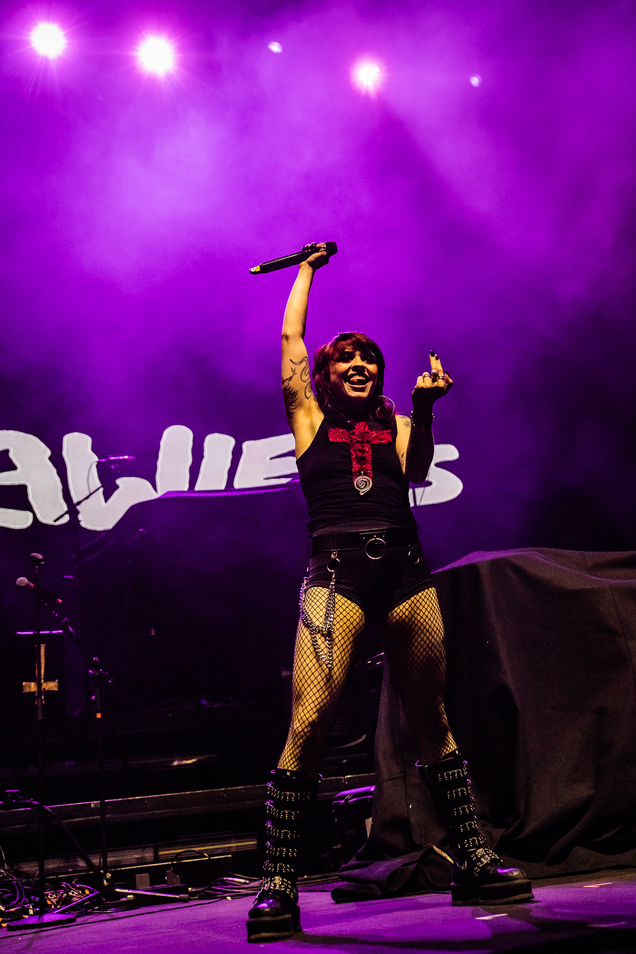 Crawlers @ Lotto Arena, picture 11, photographed by Jürgen Bruynooghe - FrontView Magazine