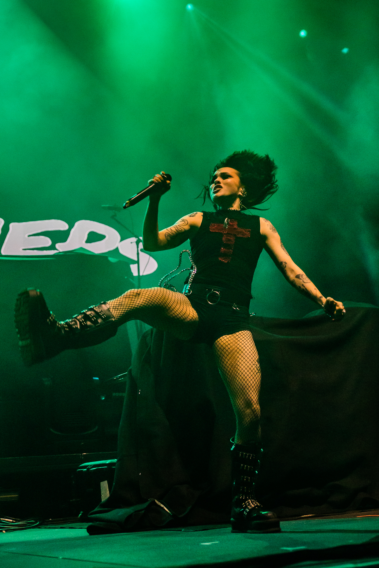 Crawlers @ Lotto Arena, picture 15, photographed by Jürgen Bruynooghe - FrontView Magazine