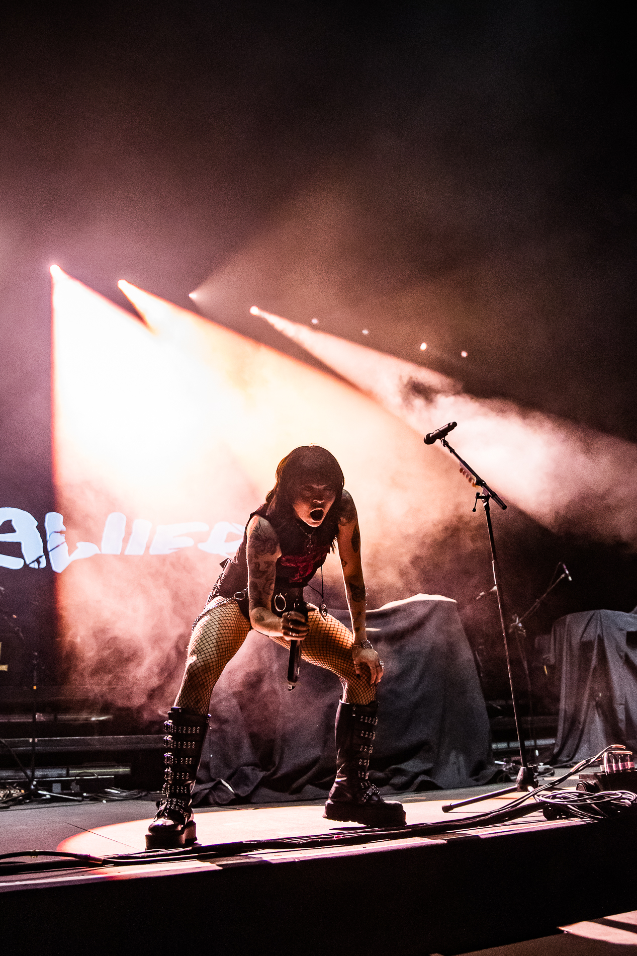 Crawlers @ Lotto Arena, picture 20, photographed by Jürgen Bruynooghe - FrontView Magazine