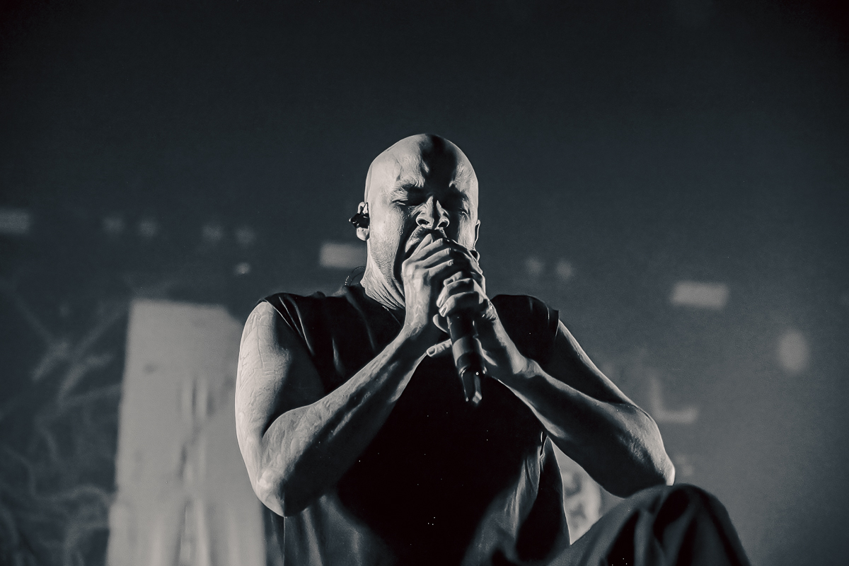 Great American Ghost @ 013, picture 4, photographed by Peter Smet - FrontView Magazine