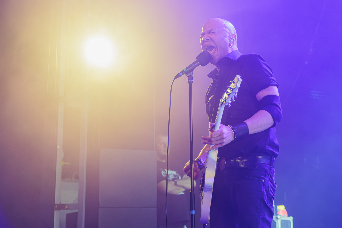 Danko Jones @ Trix, picture 16, photographed by Peter Smet - FrontView Magazine