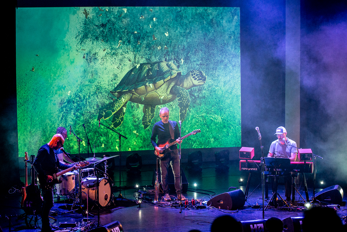 Isbells - And the noise settles @ Handeslbeurs Gent, picture 7, photographed by Raf Van Daele - FrontView Magazine
