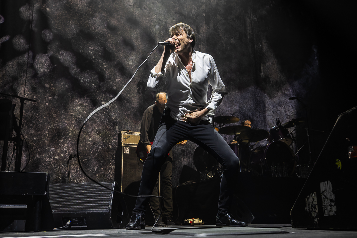 Suede @ 013, picture 16, photographed by David Johnson - FrontView Magazine