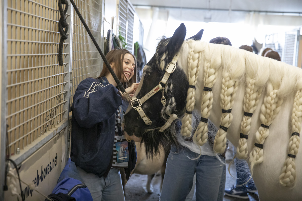 Cavalluna Stables tour @ Afas Dome, foto 7, foto's door dirk janssens - FrontView Magazine