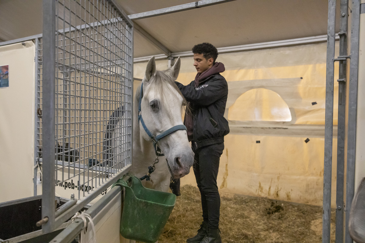 Cavalluna Stables tour @ Afas Dome, foto 10, foto's door dirk janssens - FrontView Magazine