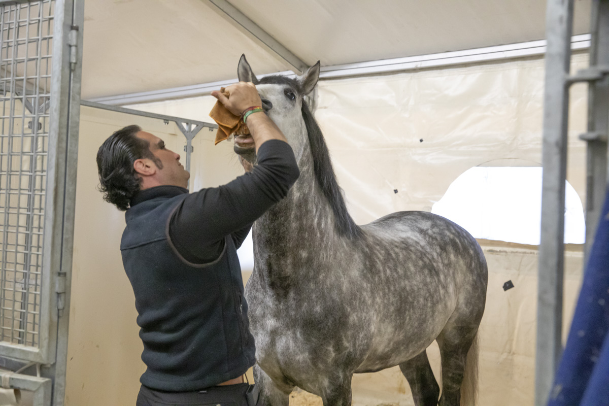 Cavalluna Stables tour @ Afas Dome, foto 15, foto's door dirk janssens - FrontView Magazine