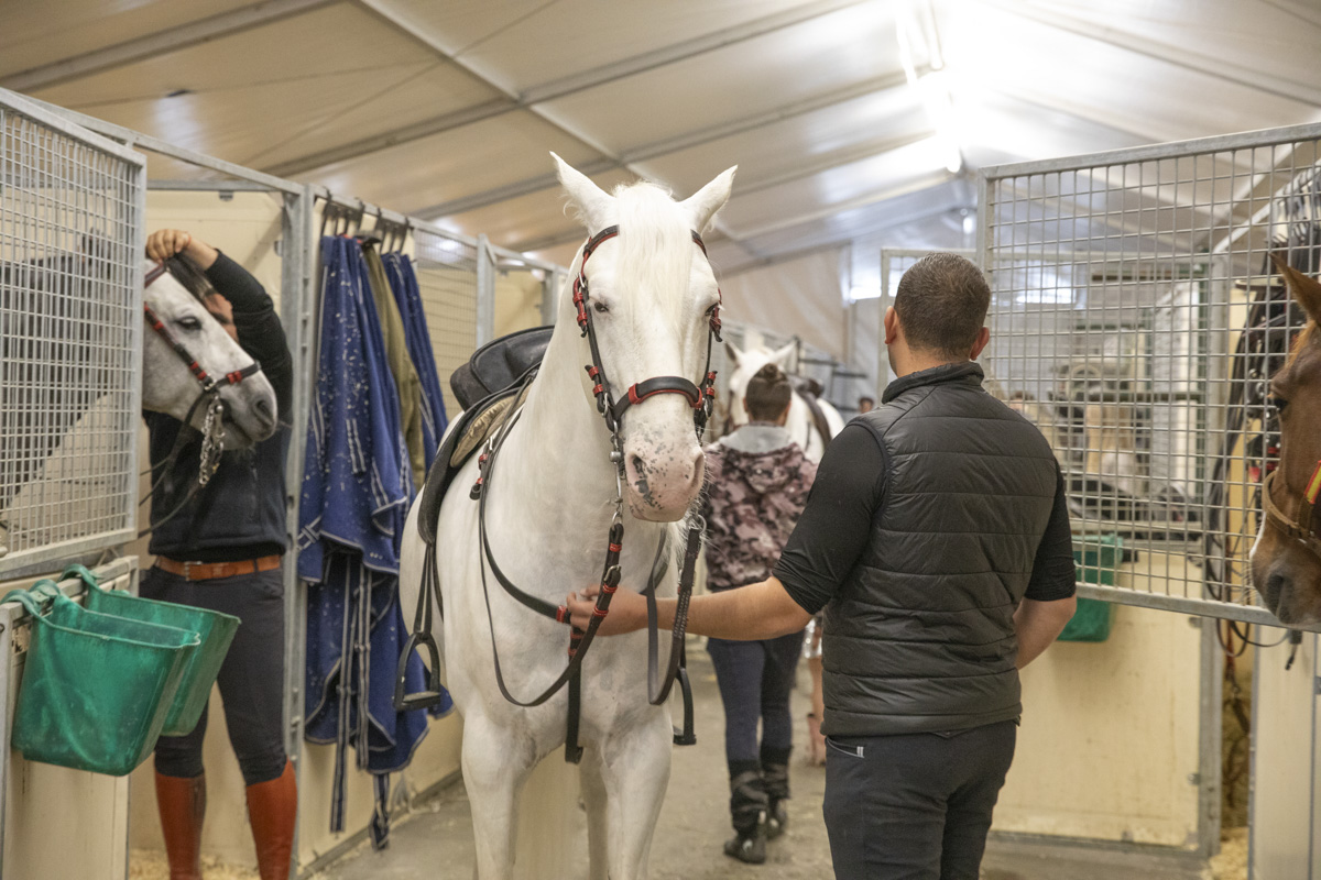 Cavalluna Stables tour @ Afas Dome, foto 17, foto's door dirk janssens - FrontView Magazine