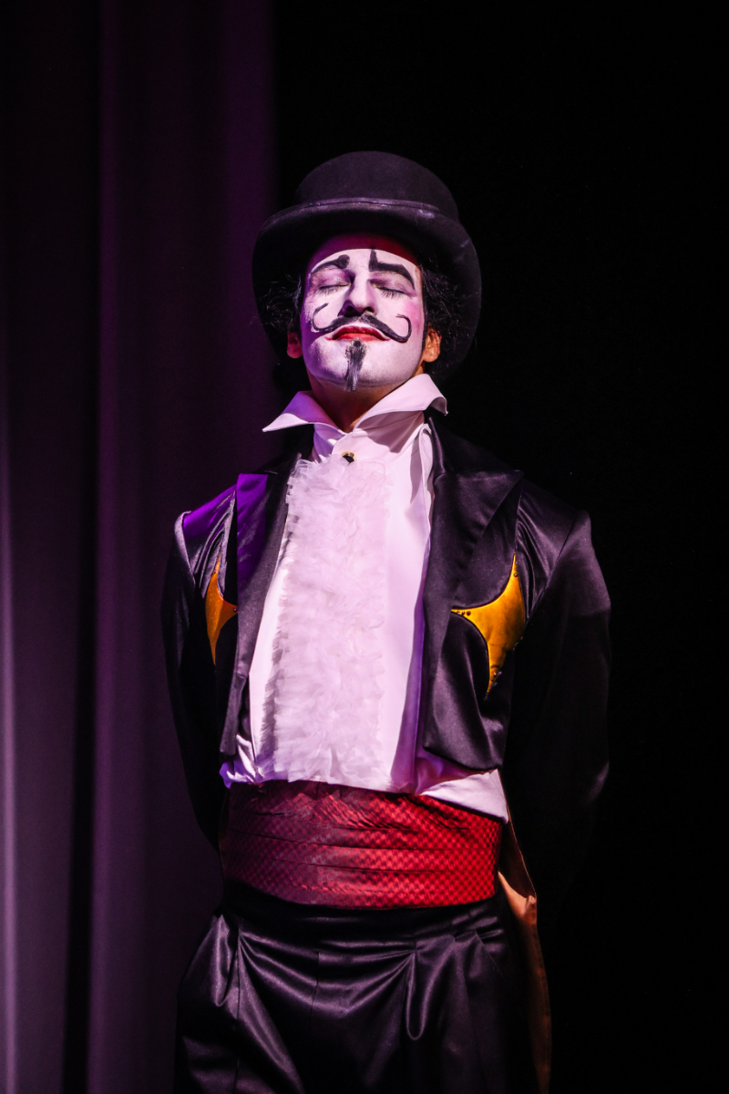 Magicaluna @ Efteling, foto 17, foto's door Kitty van de Waart - FrontView Magazine
