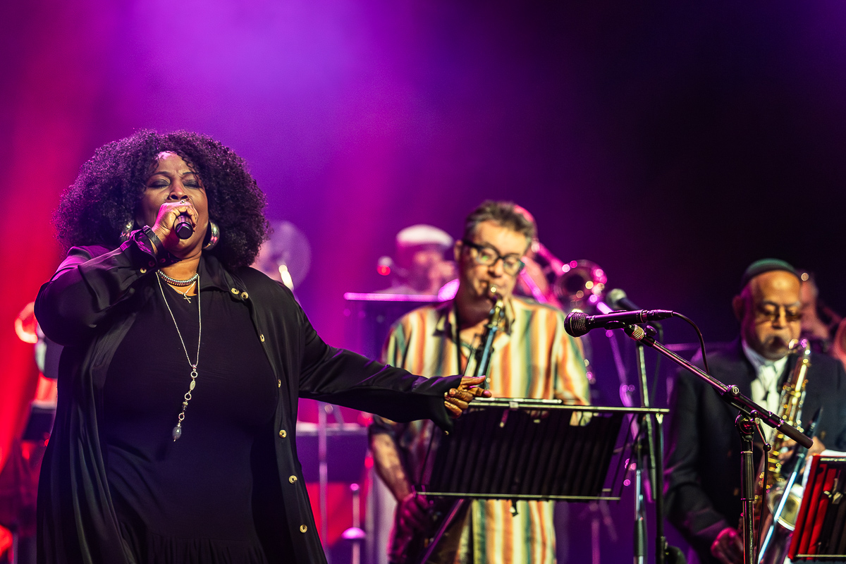 Jools Holland and His Rhythm & Blues Orchestra @ De Roma, picture 16, photographed by Marc Verdonck - FrontView Magazine