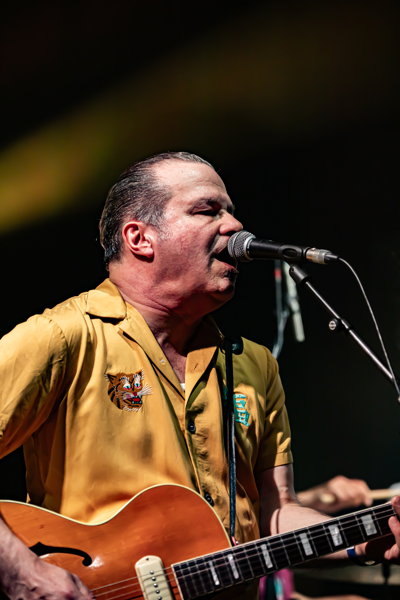 The Seatsniffers @ Blues Peer, picture 1, photographed by Leen Verlinden - FrontView Magazine