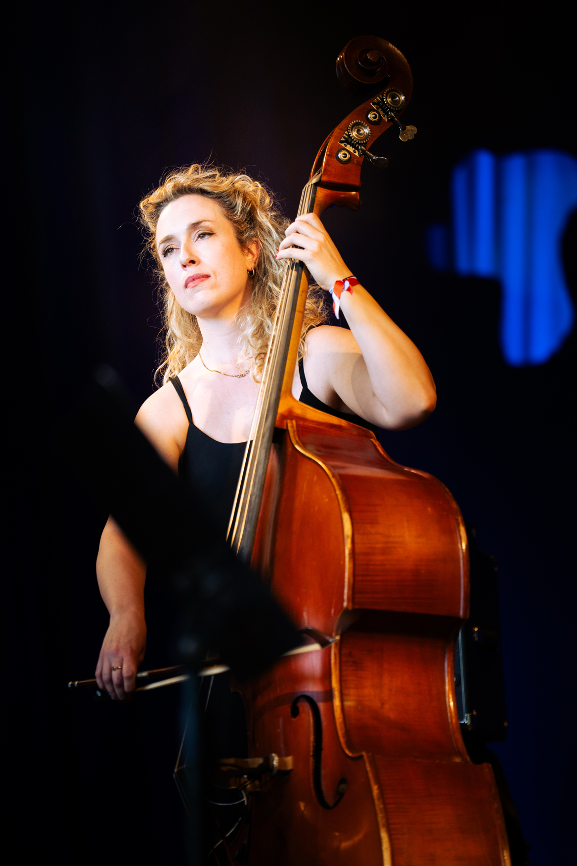 Nabou @ Jazz Middelheim, picture 6, photographed by Livia Vaduva - FrontView Magazine