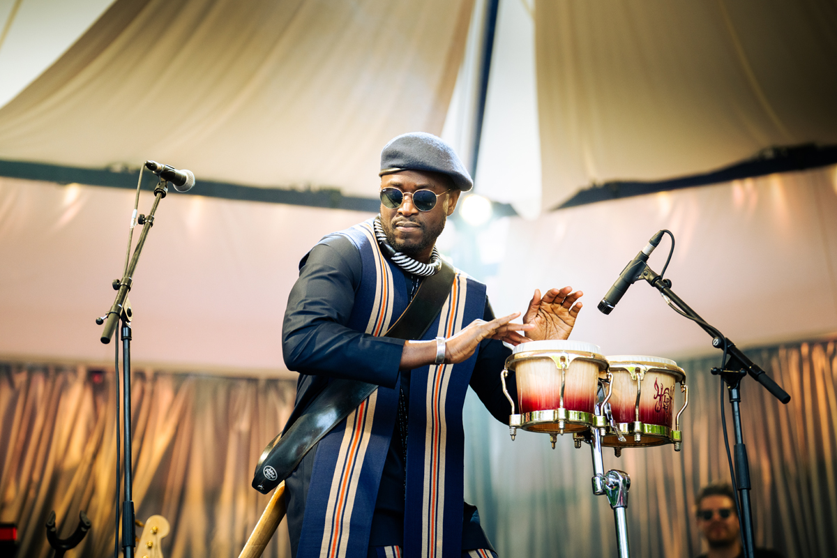 Alune Wade @ Jazz Middelheim, foto 6, foto's door Livia Vaduva - FrontView Magazine