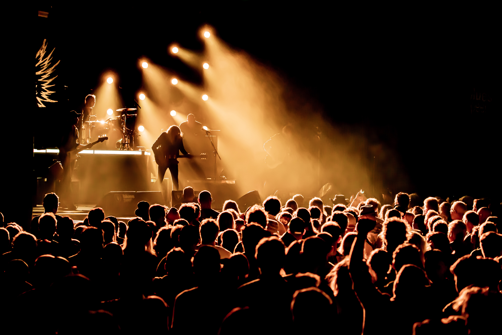 The Scabs @ Blues Peer, picture 13, photographed by Leen Verlinden - FrontView Magazine