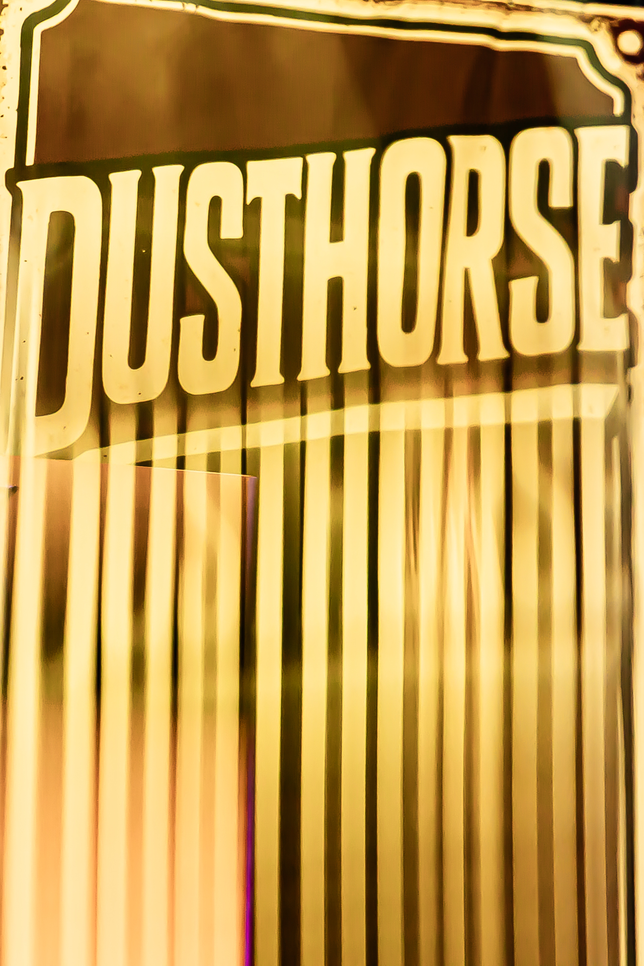 Dusthorse @ Blues Peer, foto 24, foto's door Leen Verlinden - FrontView Magazine