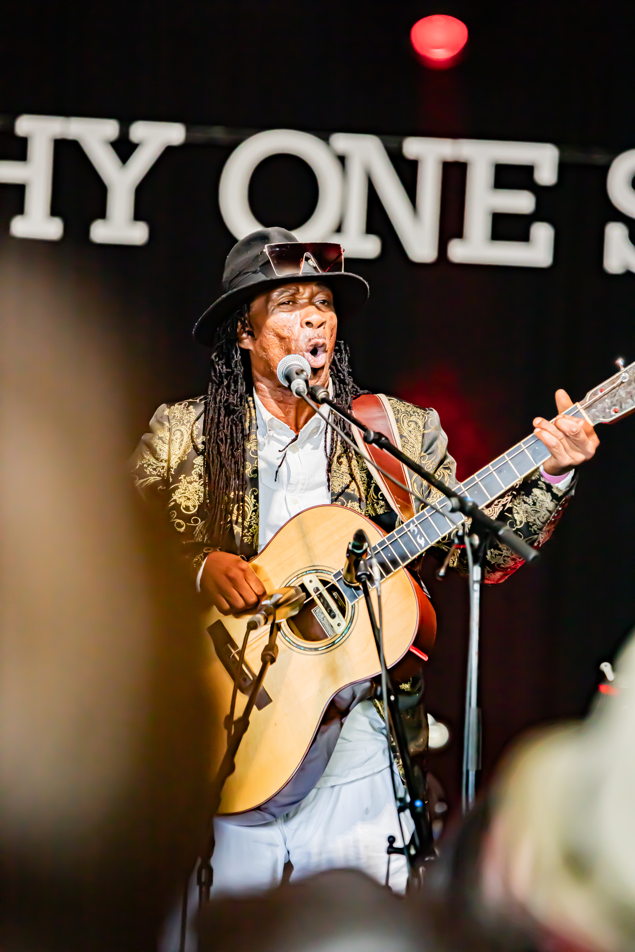 Brushy One String @ Blues Peer, picture 3, photographed by Leen Verlinden - FrontView Magazine