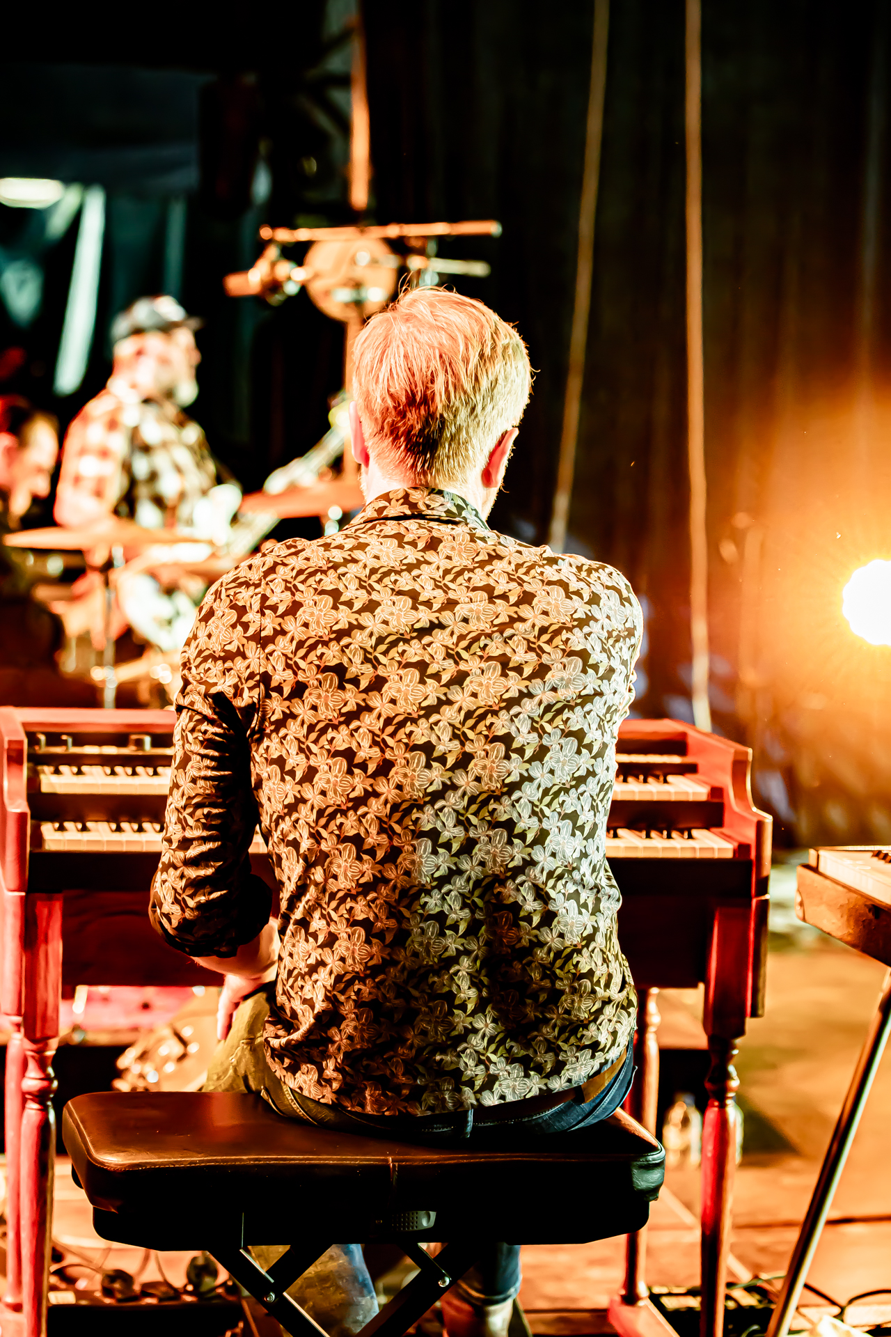Dusthorse @ Blues Peer, foto 15, foto's door Leen Verlinden - FrontView Magazine