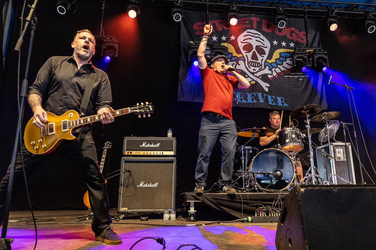 Street Dogs @ Sjock, picture 4, photographed by David Johnson - FrontView Magazine