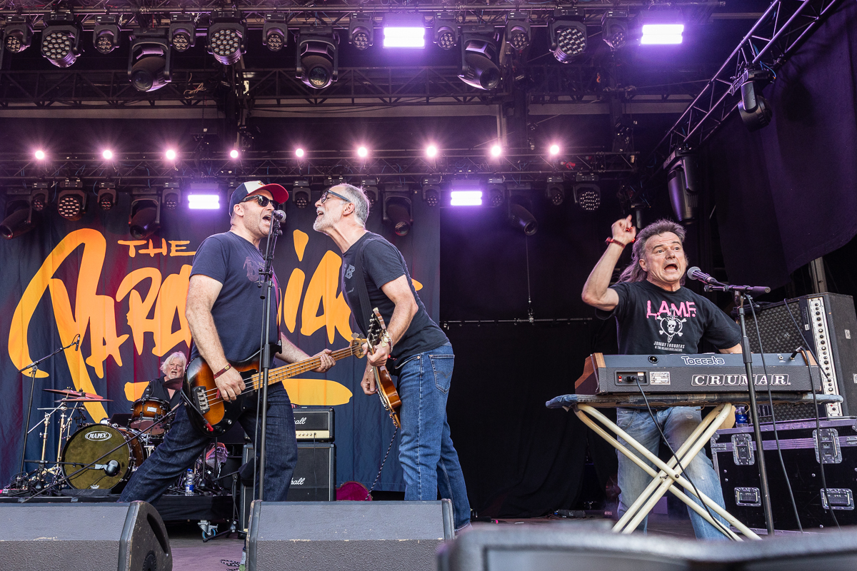 The Paranoiacs @ Sjock, picture 33, photographed by David Johnson - FrontView Magazine