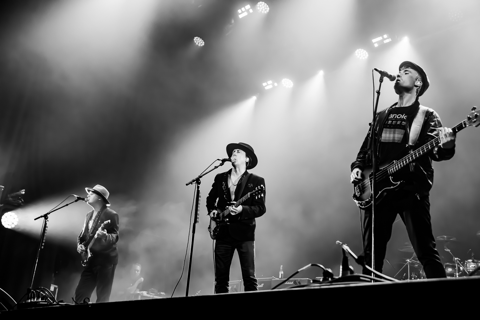 The Libertines @ Rock Herk, picture 1, photographed by Leen Verlinden - FrontView Magazine
