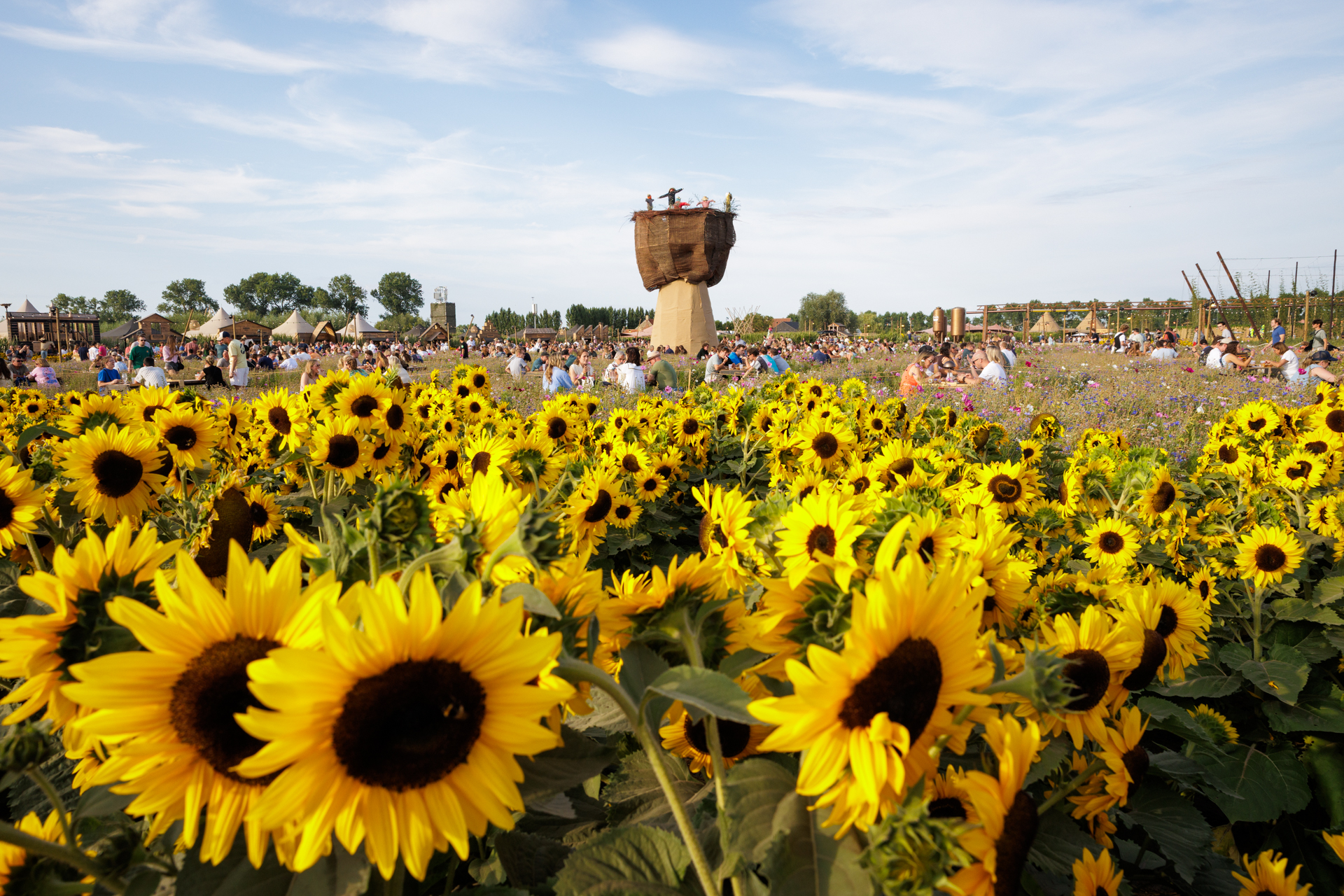 Sfeer @ Campo Solar, picture 4, photographed by Wim Sunnaert - FrontView Magazine