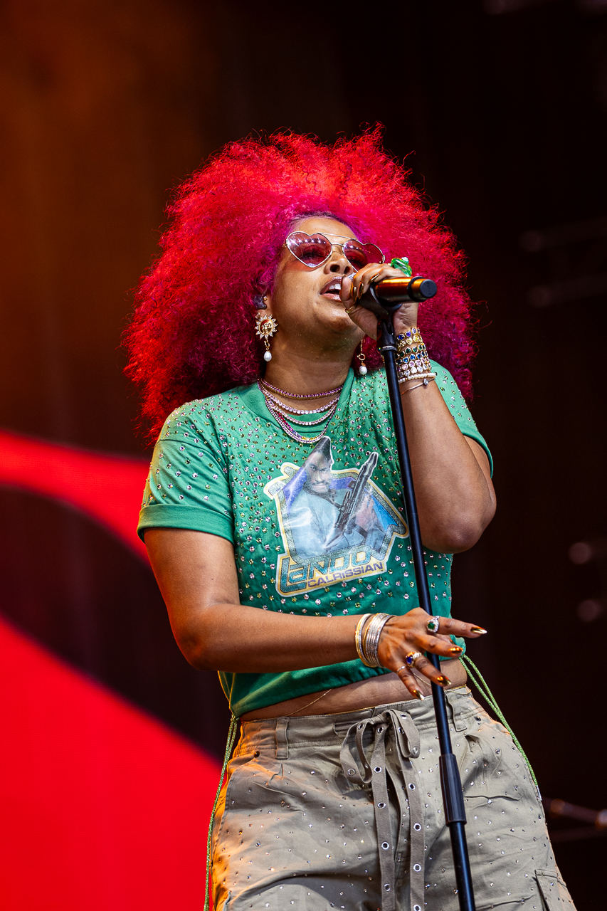 Kelis @ Lowlands 2026, picture 5, photographed by Danielle Stoop - FrontView Magazine