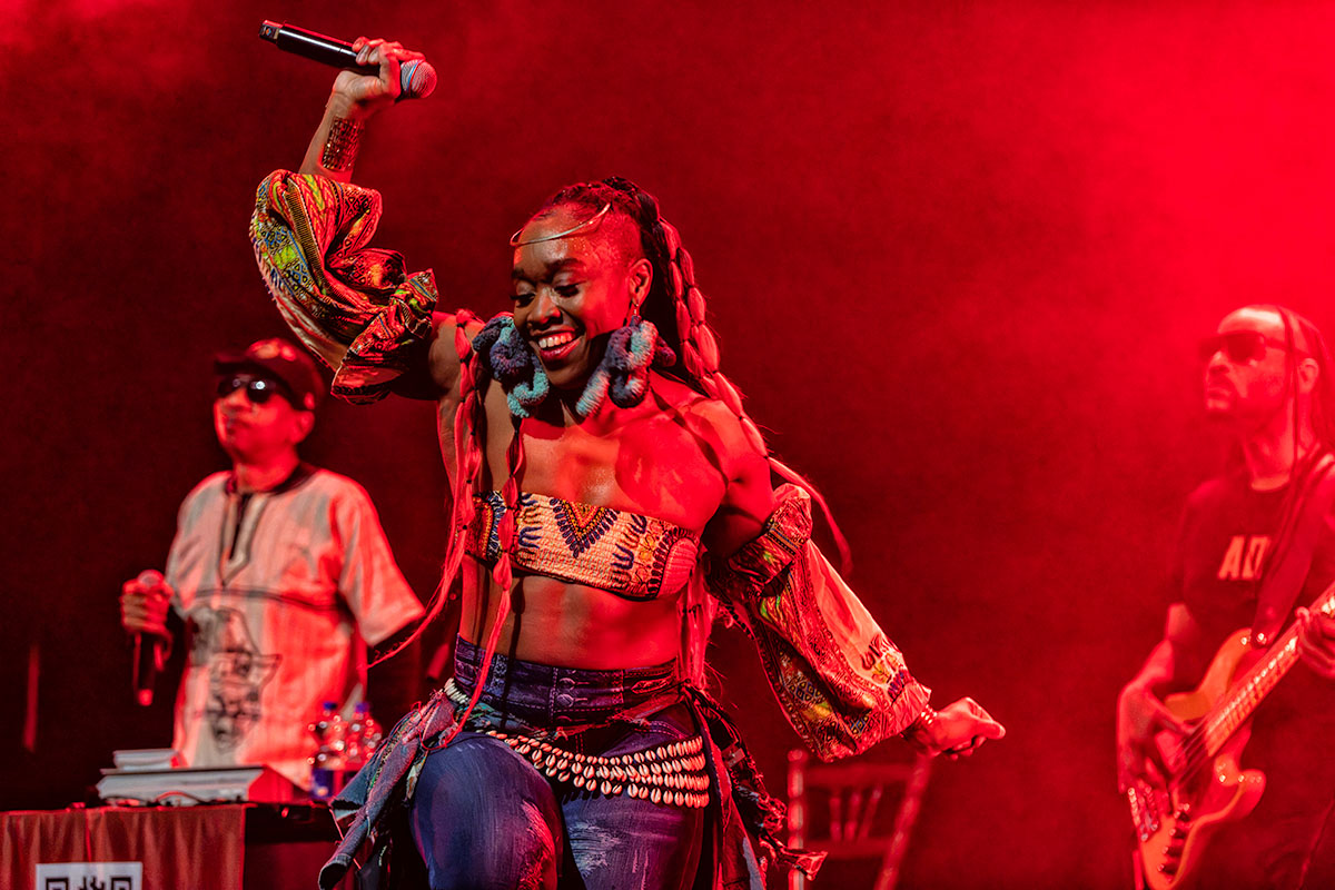 Arrested Development @ Het Depot, picture 2, photographed by Johan Allaert - FrontView Magazine