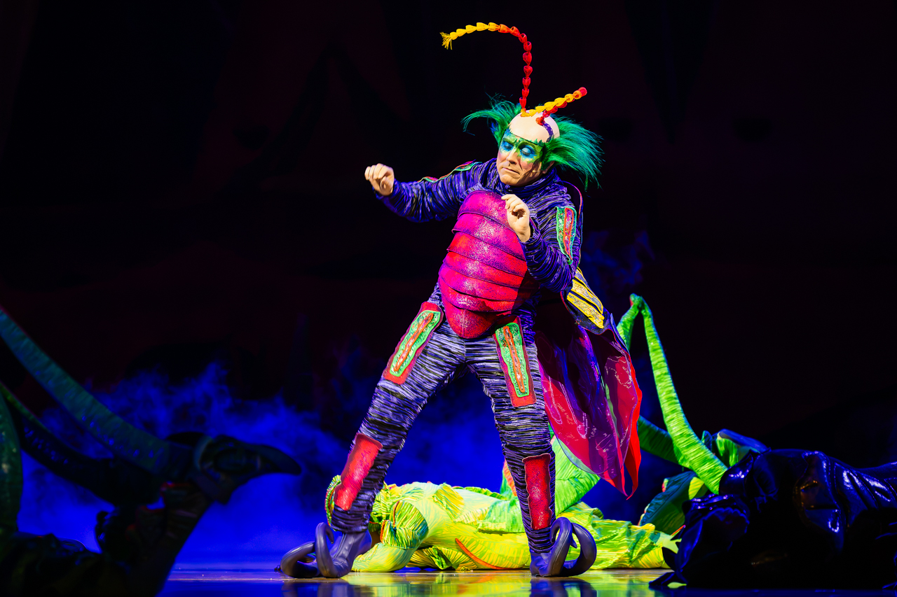 Cirque du Soleil (OVO) @ ING Arena, foto 3, foto's door Paul Jongeneelen - FrontView Magazine