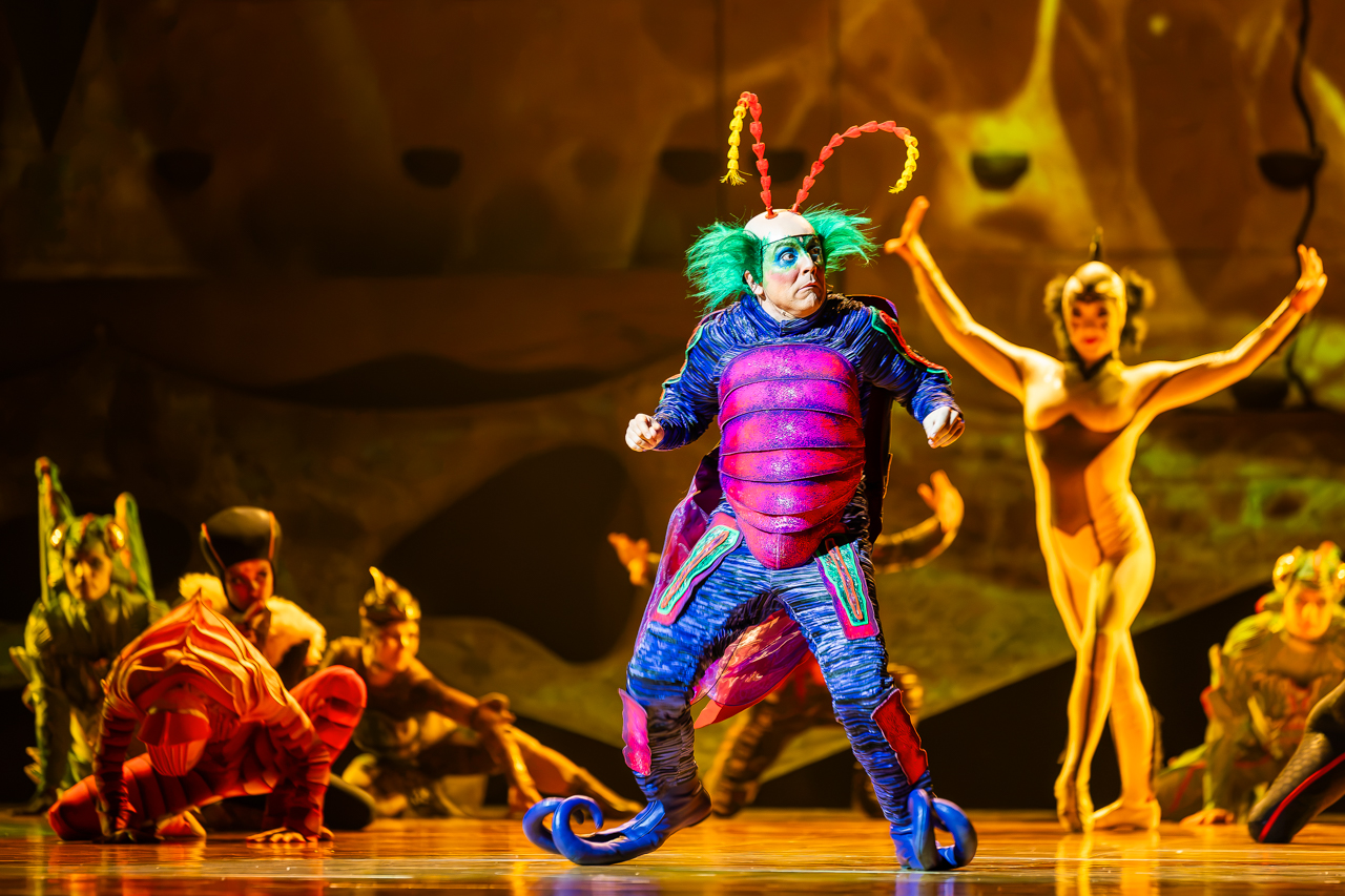 Cirque du Soleil (OVO) @ ING Arena, foto 19, foto's door Paul Jongeneelen - FrontView Magazine