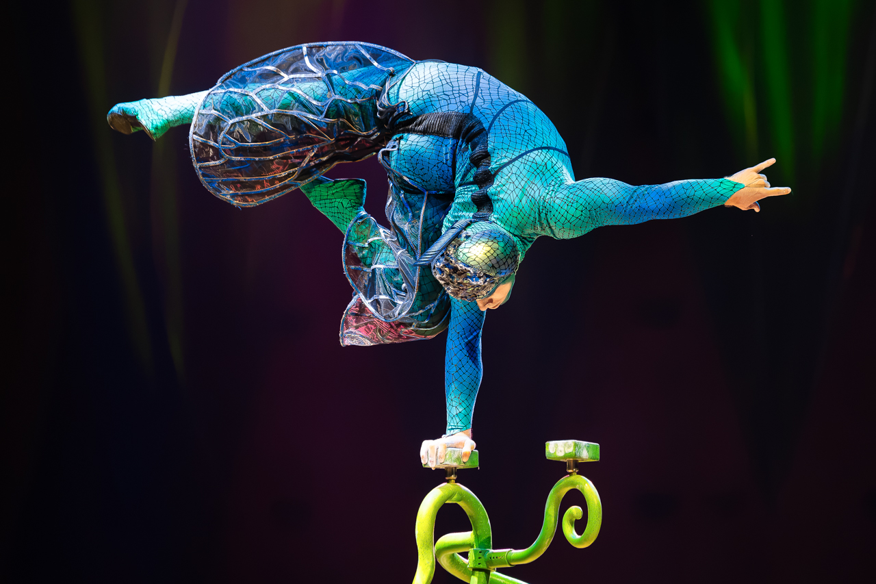 Cirque du Soleil (OVO) @ ING Arena, foto 16, foto's door Paul Jongeneelen - FrontView Magazine