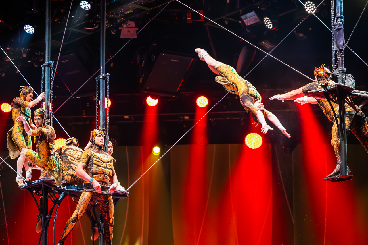 Cirque du Soleil (OVO) @ ING Arena, foto 44, foto's door Paul Jongeneelen - FrontView Magazine