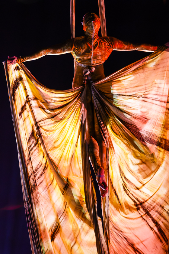 Cirque du Soleil (OVO) @ ING Arena, foto 22, foto's door Paul Jongeneelen - FrontView Magazine