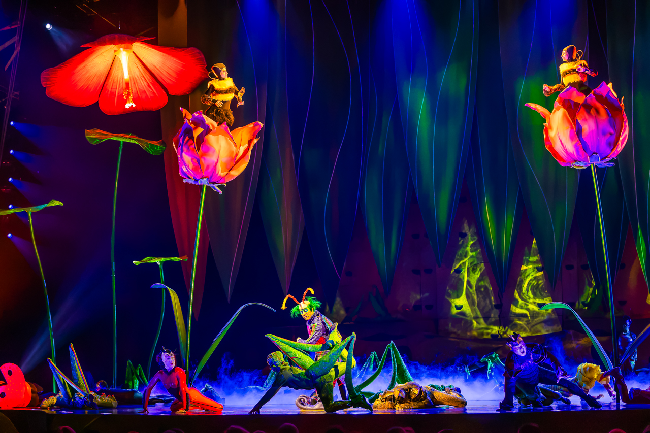 Cirque du Soleil (OVO) @ ING Arena, foto 2, foto's door Paul Jongeneelen - FrontView Magazine