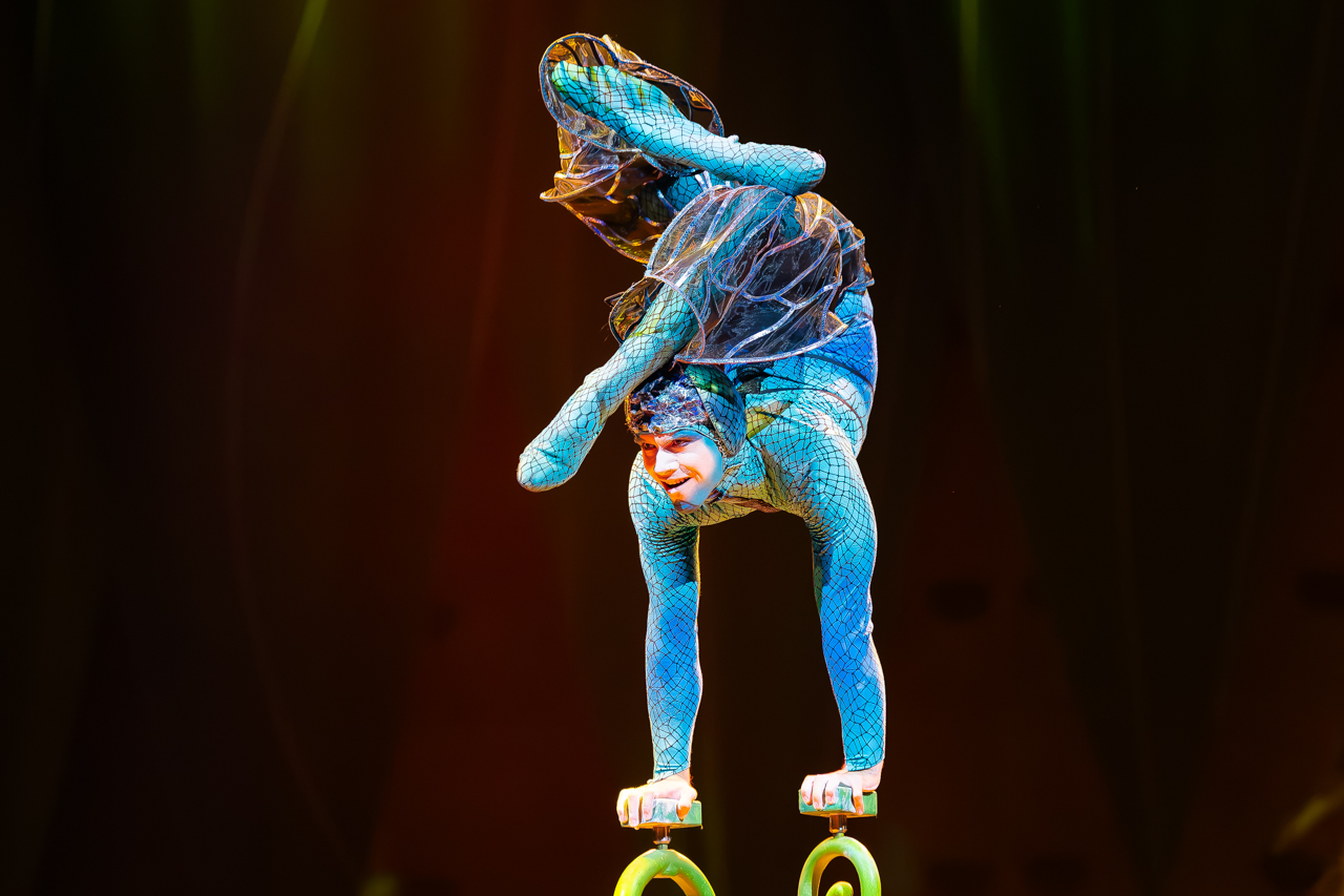 Cirque du Soleil (OVO) @ ING Arena, foto 15, foto's door Paul Jongeneelen - FrontView Magazine