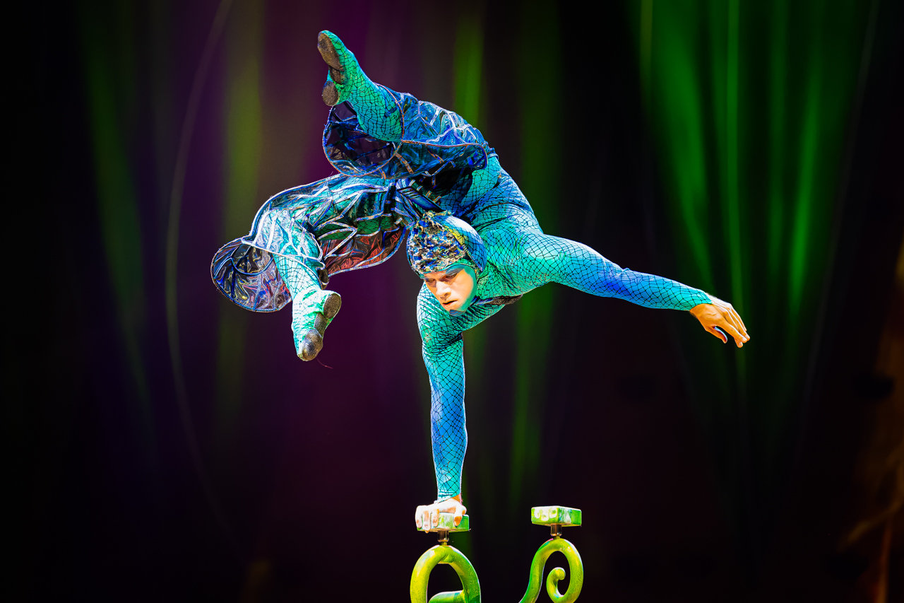 Cirque du Soleil (OVO) @ ING Arena, foto 17, foto's door Paul Jongeneelen - FrontView Magazine