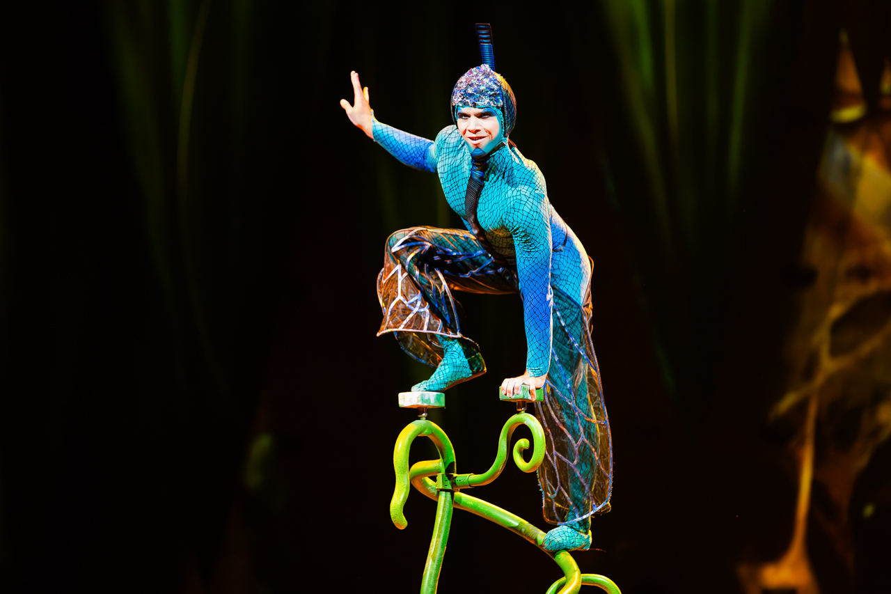Cirque du Soleil (OVO) @ ING Arena, foto 13, foto's door Paul Jongeneelen - FrontView Magazine