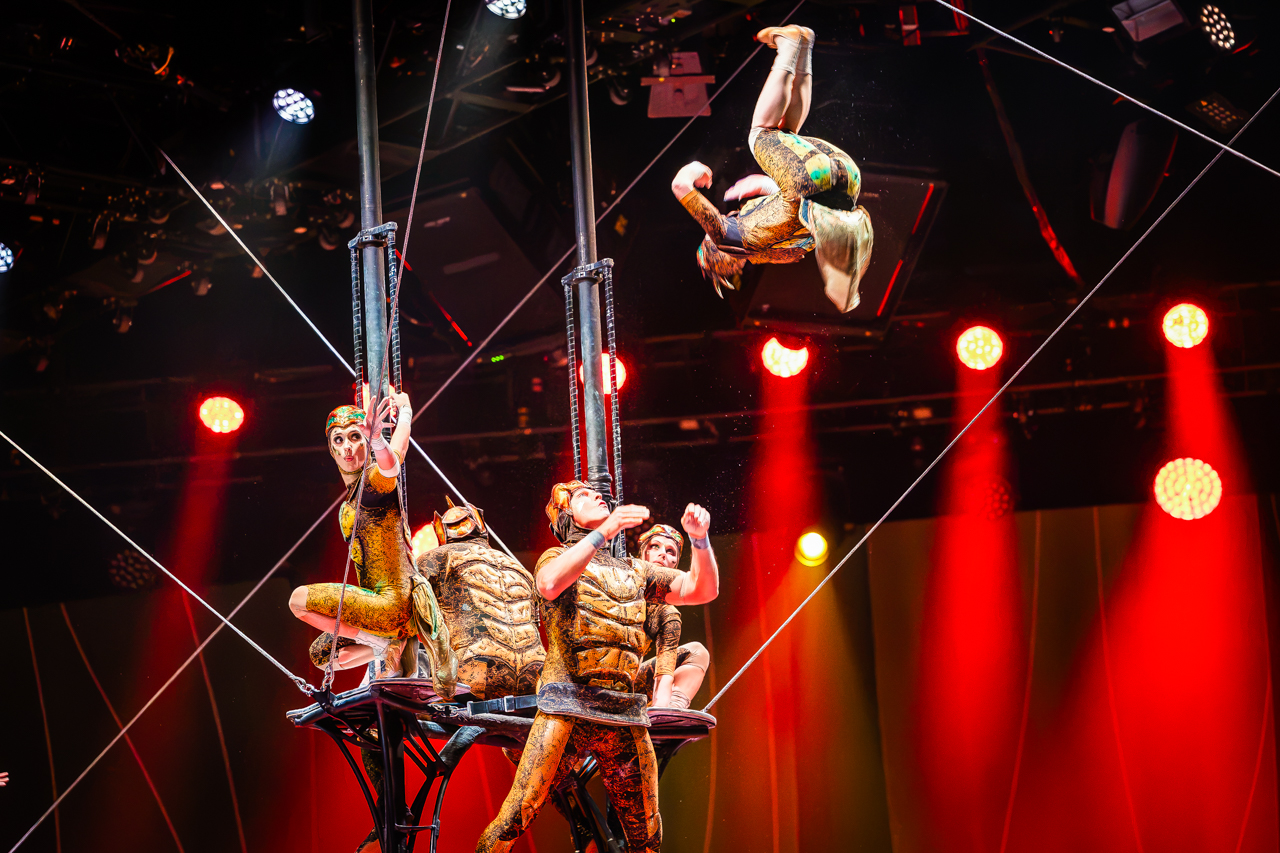 Cirque du Soleil (OVO) @ ING Arena, foto 41, foto's door Paul Jongeneelen - FrontView Magazine